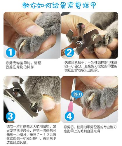 猫咪指甲剪猫磨甲器宠物剪指甲专用神器狗狗指甲钳指甲刀剪刀用品