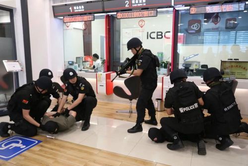 城北新区,两劫匪持枪 "抢银行"?西充公安火速出击!原来