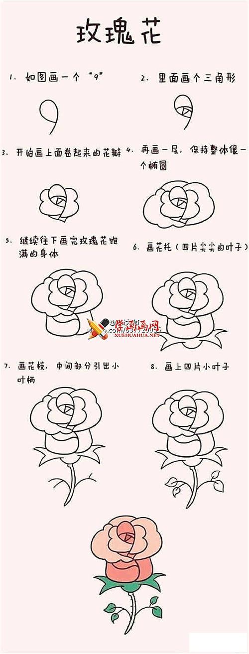 简笔画教程_玫瑰花的画法步骤