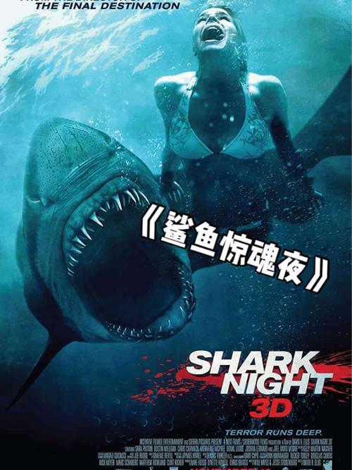 鲨鱼恐怖片00来湖边度假遇到好多鲨鱼05