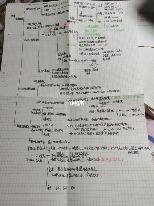 生物化学基础知识_化学_精华_代谢_学习_手写_思维导图_教育_教育其他
