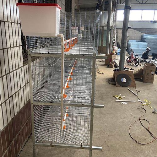 【层叠式肉鸡笼 鸡笼全套设备 肉鸡笼】价格_厂家_图片 -hc360慧聪网