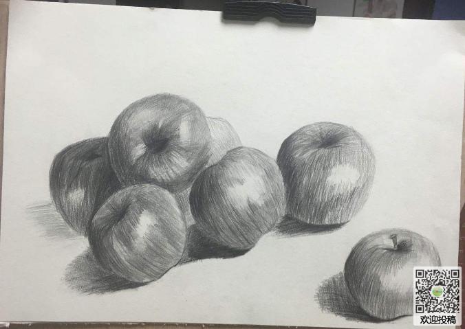 静态水果素描图-又红又大的苹果