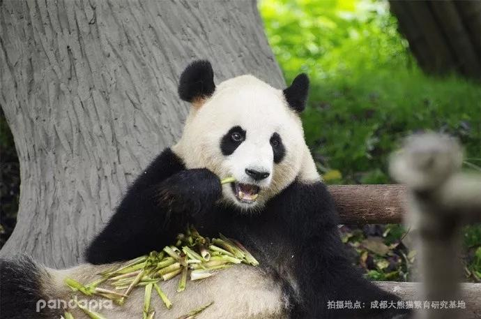 肉肉一大早就起床了, 想必赚了好多钱哦! 那我今年的压岁钱岂不是?