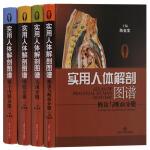 正版实用人体解剖图谱系列(共4卷)四肢分册头颈分册实用人