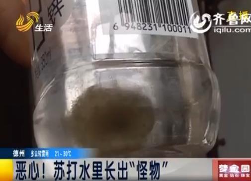 [视频]土地托管:让农民进得了城 留得住根