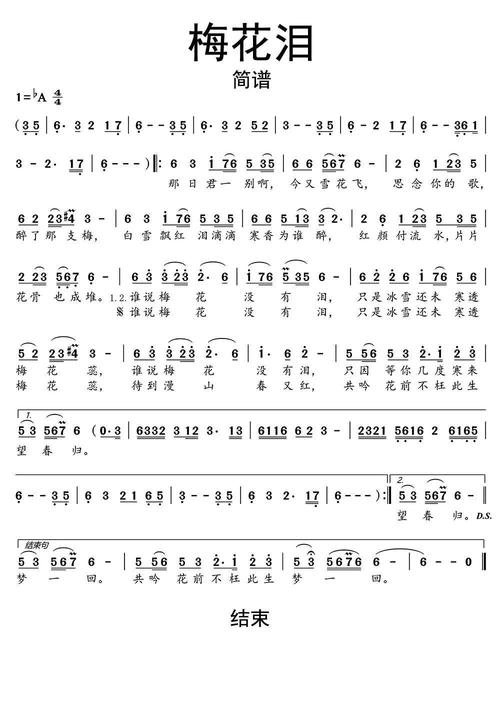 >>梅花泪云菲菲简谱乐谱