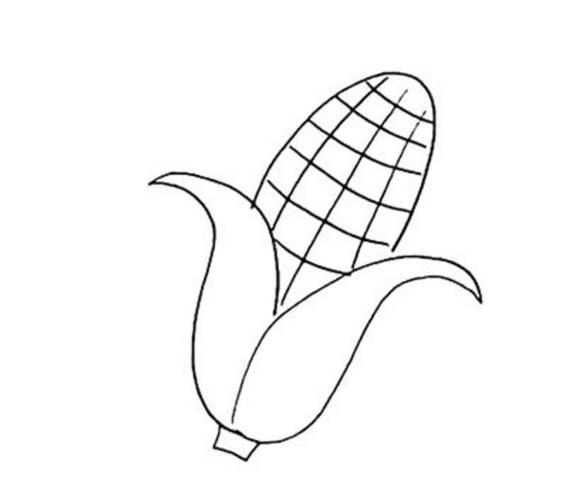 简单的玉米怎么画_玉米简笔画画法步骤教程