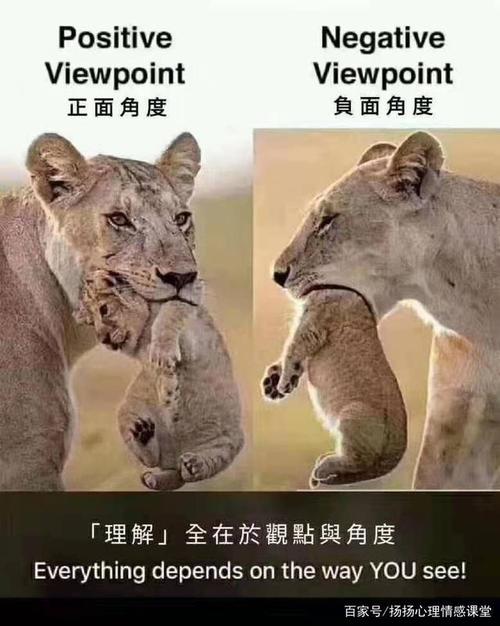 "理解"全在于观点和角度