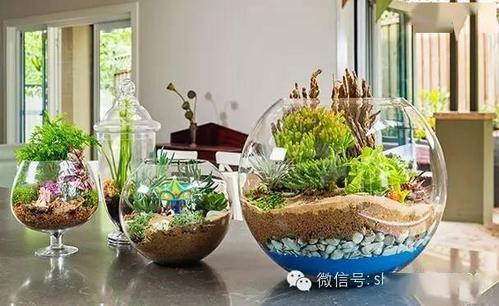 【旧物利用】废物利用做花盆,太厉害了!