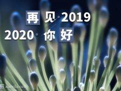 2020跨年欢乐说说大全朋友圈说说微信朋友圈2020搞笑跨年说说