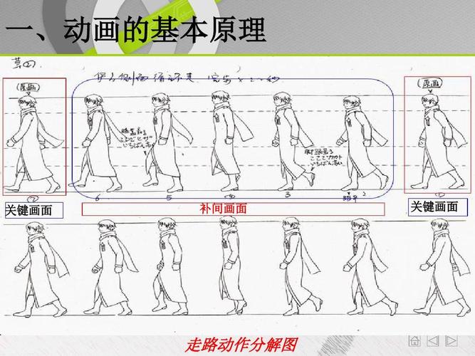一,动画的基本原理 关键画面 补间画面 关键画面 走路动作分解图