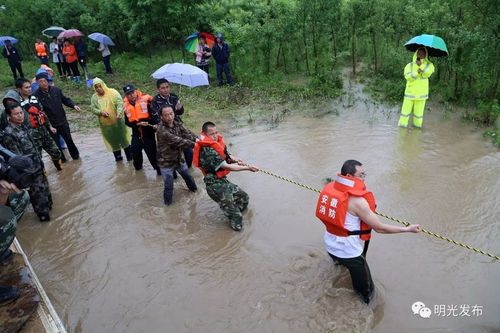 逆流中的勇士!安徽明光市组织力量营救19名被困群众
