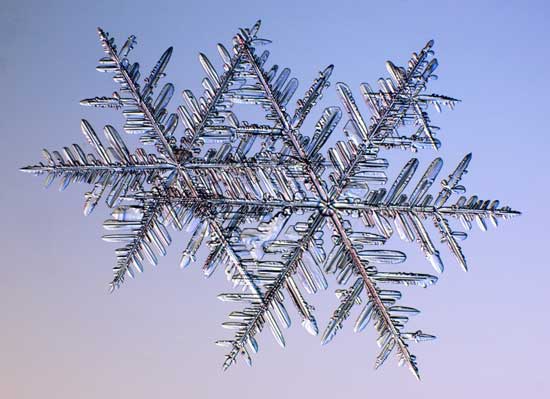 [转载]绝美的雪花显微照片
