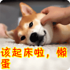 该起床啦懒蛋表情包