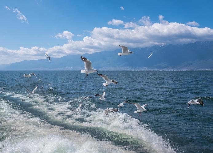 拍摄于云南大理洱海的各个景点风景图片(4/12)