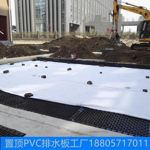 塑料排水板 凹凸排水板 hdpe排水板 排水板工厂