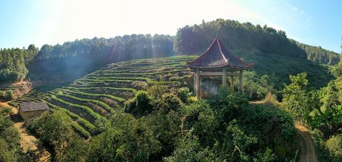 福建建瓯:北苑御焙遗址——我国最早的官办茶叶衙署遗址