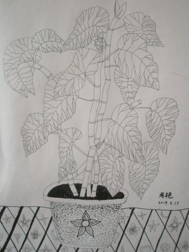 春华秋实叹永恒简笔画