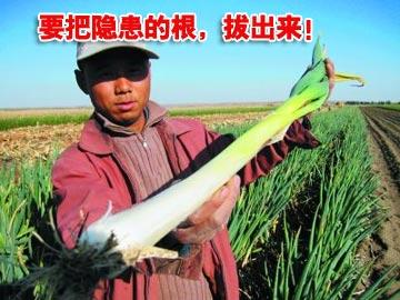 企业查隐患,"割韭菜"还是"拔大葱"?