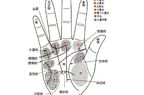 手纹乱的人,命运究竟会是怎样的呢?