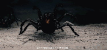 突破的想法—— 时而是动作片般的大风暴,时而是恐怖片般的干尸与蜘蛛