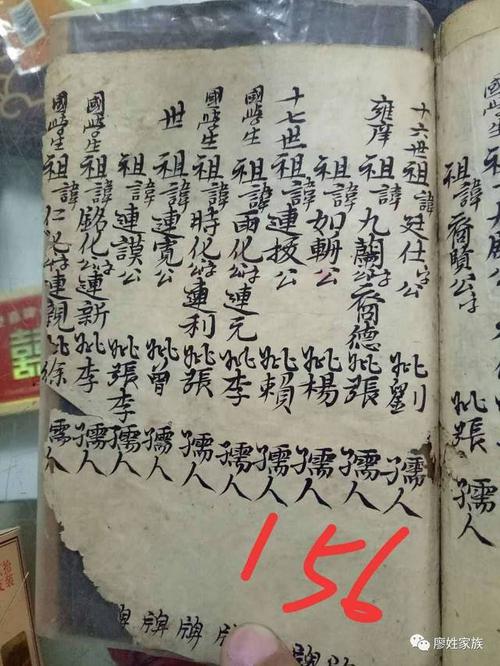 江西吉安廖氏家谱【手抄】