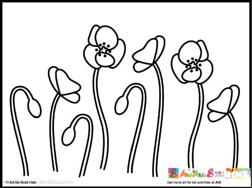 罂粟花简笔画