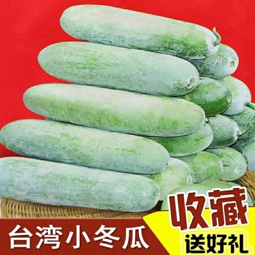 台湾小冬瓜种子粉皮早熟迷你水果冬瓜种苗四季瓜种春