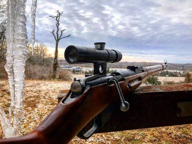 水连珠各型莫辛纳甘步枪美图欣赏