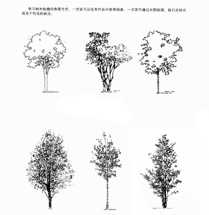 手绘树的画法教程,关于画树的手绘线稿图