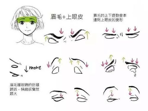 下眼皮的运用,能有效增加人物表情的生动感 总得来说,眉毛和眼睛的