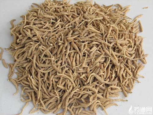 贵州施秉县牛大场太子参逢集快讯