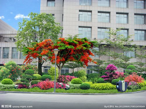 某办公楼前绿化图片