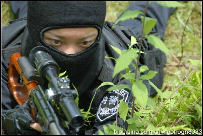 组照公安特警之丛林雄风