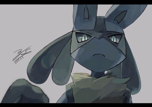 插画精选ー精灵宝可梦:路卡利欧(二期)