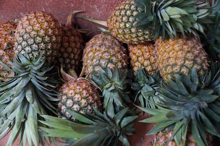 成熟的菠萝