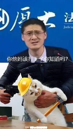 有喜欢罗翔老师的么? 欢迎来放梗!