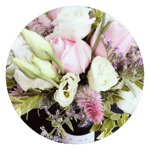 美周一花「有间·花开」专属于你的生活「小确幸」