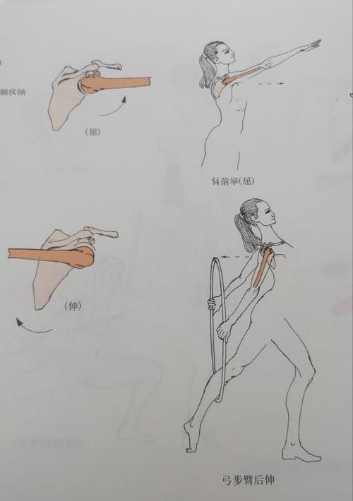 不了解肩,上来就盲目开肩,就是耍流氓,这一篇教你安全高效开肩