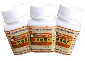 吡喹酮片