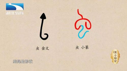 汉字解密|虫 :"雕虫小技"里面的"虫"指的是虫子吗?