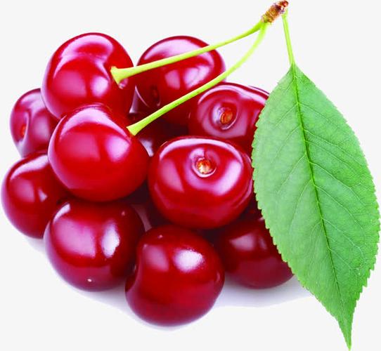 夏日海报水果红色樱桃效果