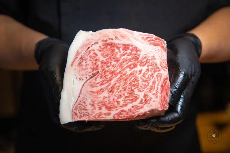 双楠5星日式烧肉店,m9和牛套餐竟半价吃