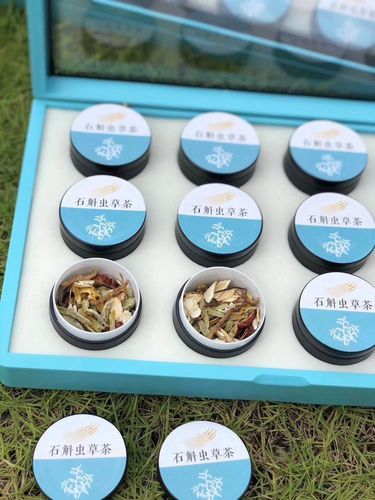 那曲虫草小罐茶 虫草茶2条虫草装 养生茶高端礼盒装12