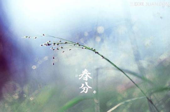 春分的谚语古诗