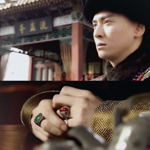 如果存在如果,步步惊心四爷让韩栋来演大家觉得可吗?