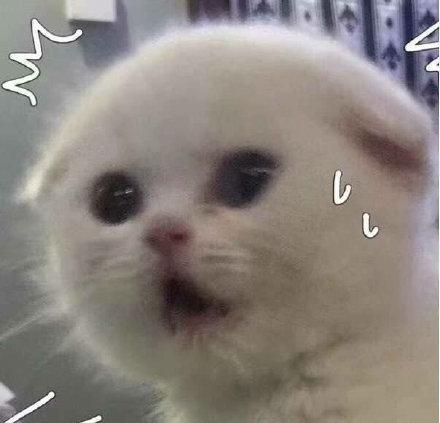 狗 震惊表情包 - 狗 震惊微信表情包 - 狗 震惊qq表情