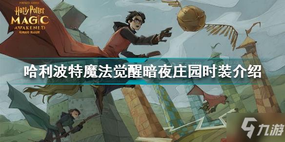 哈利波特魔法觉醒暗夜庄园时装怎么样 马尔福同款时装