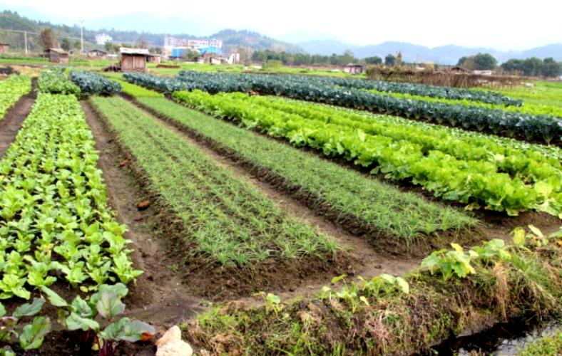 遇见高淳方言(八)